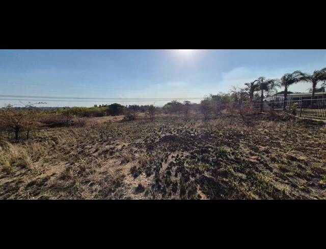 FARM FOR SALE IN MNANDI